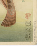 Bakufu: Fat Greenling (ainame アイナメ)   (First Edition) (Sold)