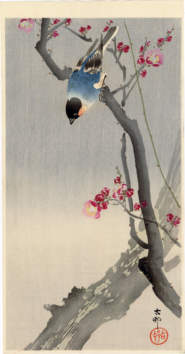 KOS229_1200x1200.jpg?v=1690670835