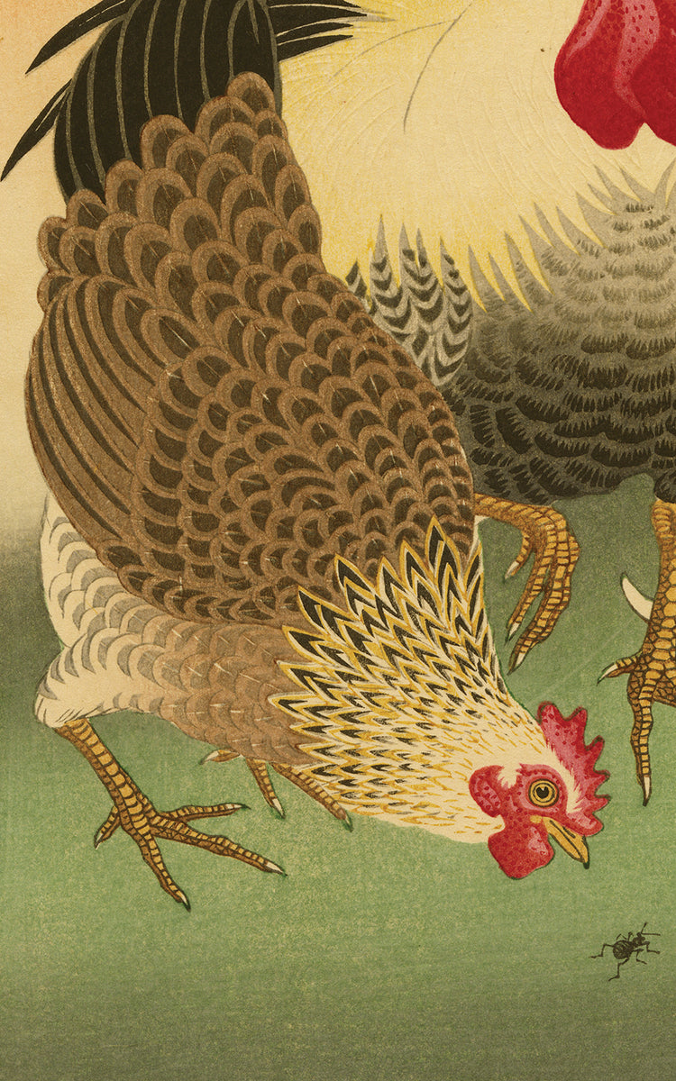 KOS238copy4_1200x1200.jpg?v=