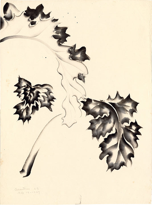 Obata: Sumi Painting; Studies of Acanthus Leaves