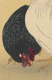 Ito Sozan 総山: Rooster and Hen 鶏 ニワトリ (SOLD)
