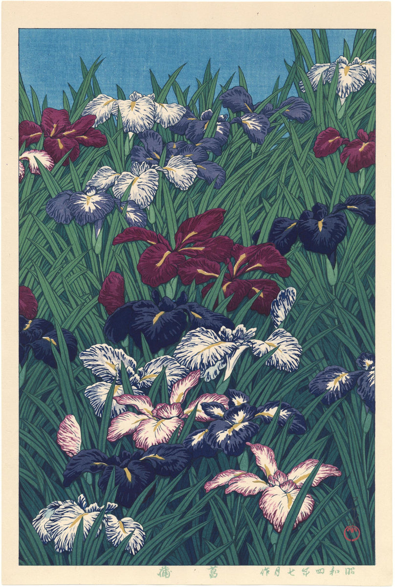 蓮井：菖蒲（あやめ）（販売） – Egenolf Gallery Japanese Prints