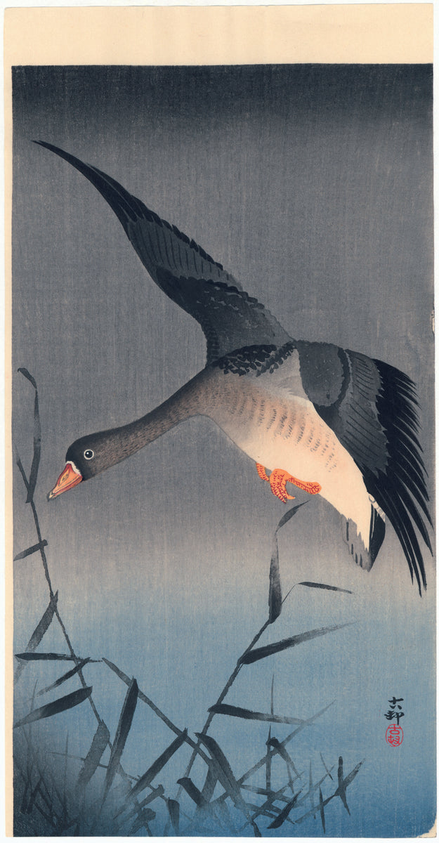 Kōson：葦の上を飛んでいるガチョウ（販売済み） – Egenolf Gallery