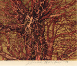 Hoshi Jōichi: Red Branches (Akai eda)