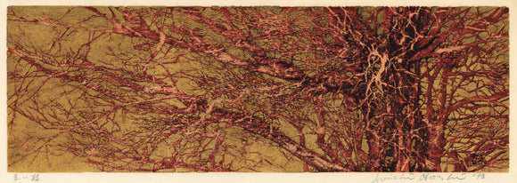 Hoshi Jōichi: Red Branches (Akai eda)