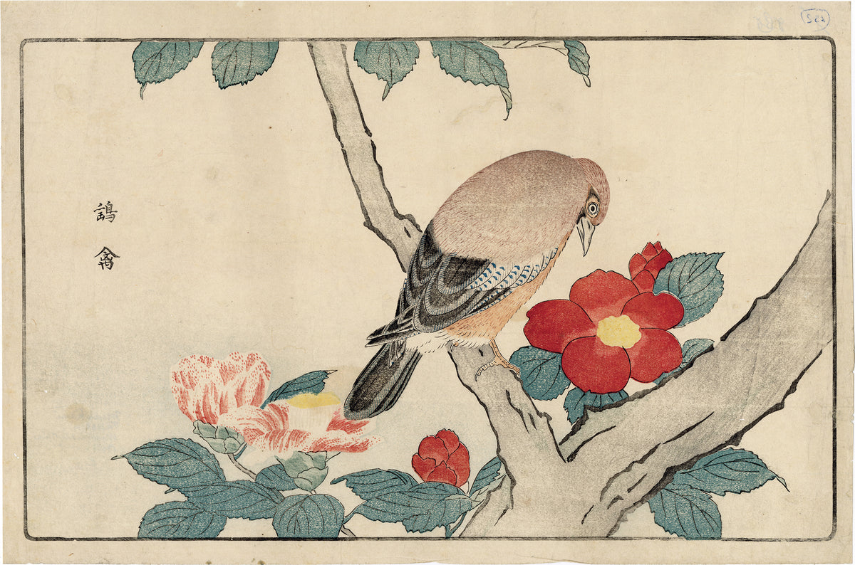 立憲民主党 『 Birds & flowers 』by Majidu - 美術品・アンティーク