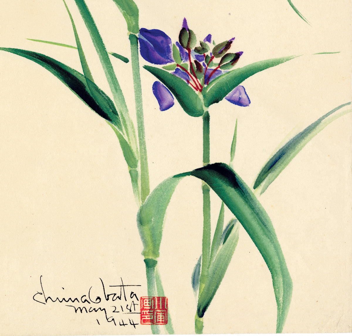 小幡：紫ツユクサの花の水彩画（販売） – Egenolf Gallery Japanese Prints