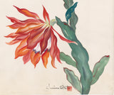 Obata: Large Watercolor Painting of a Blooming Cactus (SOLD)