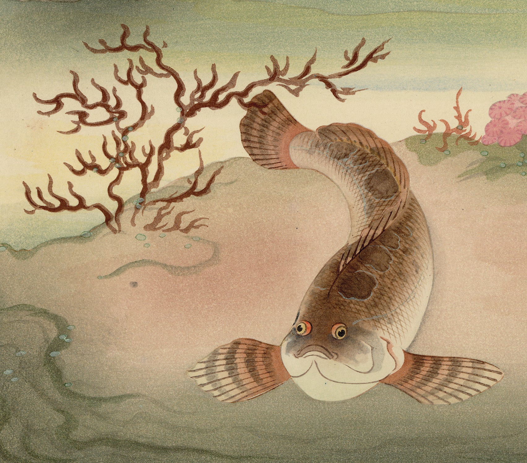 KENOJUAK ASHEVAK, C.C., R.C.A. (1927-2013) KINNGAIT (CAPE