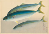 Bakufu: Yellowtail (Hamachi) 魬 (SOLD)
