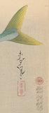 Bakufu: Yellowtail (Hamachi) 魬 (SOLD)
