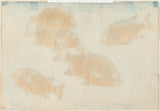 Bakufu: Parrot Fish (Ishidai)