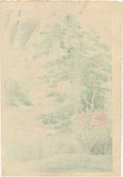Hasui 巴水: 日光の湯滝