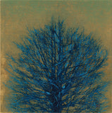 Joichi Hoshi: Treetop (Blue)