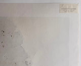 星 洋一：大杉の木（朝）