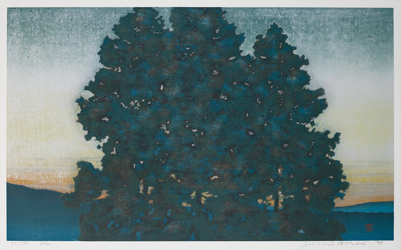 星 洋一：大杉の木（朝）