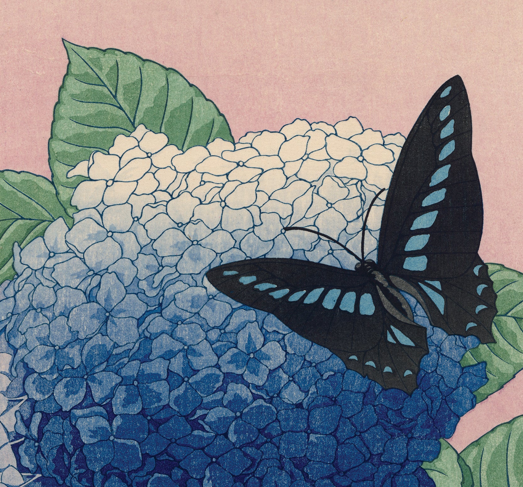 犬塚大水：あじさいと蝶（販売済み） – Egenolf Gallery Japanese Prints