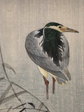 Koson 小原古邨 : Night Heron Wading in the Rain (First Edition) (SOLD)