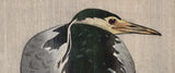 Koson 小原古邨 : Night Heron Wading in the Rain (First Edition) (SOLD)