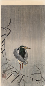 Koson 小原古邨 : Night Heron Wading in the Rain (First Edition) (SOLD)