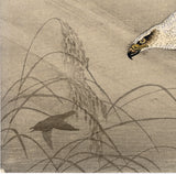 Koson 小原古邨 : Goshawk Chasing Prey (RESERVED)