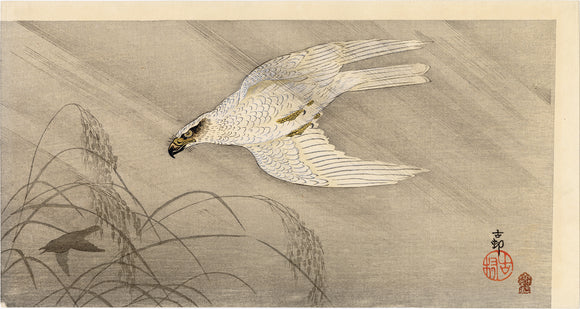 Koson 小原古邨 : Goshawk Chasing Prey