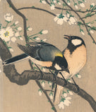 Koson 小原古邨 : 咲き誇る桜の枝に二羽のシジュウカラ（販売済み）
