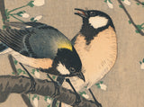 Koson 小原古邨 : 咲き誇る桜の枝に二羽のシジュウカラ（販売済み）