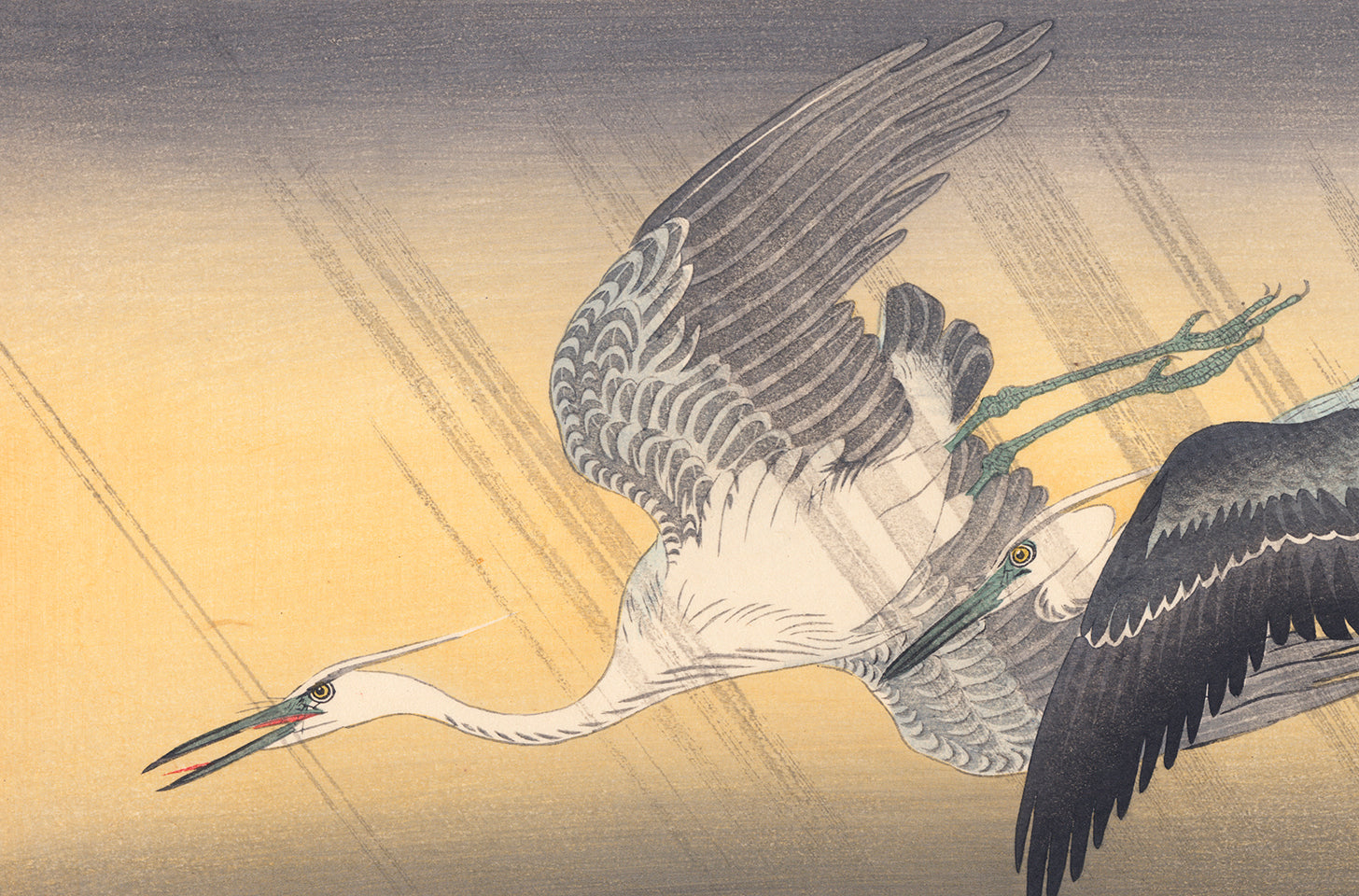 Koson 小原古邨 : 雨の中を飛ぶ二羽のアオサギ（販売済み） – Egenolf
