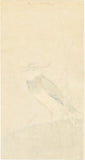 Koson 古邨 : タゲリと葦
