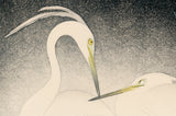 Hashimoto (ikeda) Koei: Snowy Egrets in Rain