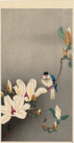 Koson 小原古邨 : Great Tit and Blooming Magnolia (Sold)
