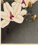 Koson 小原古邨 : Great Tit and Blooming Magnolia (Sold)