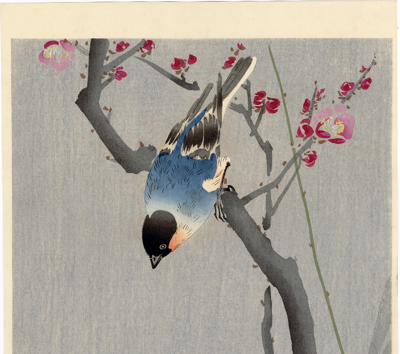 Koson 小原古邨:梅の枝にウソ (販売済み) – Egenolf Gallery Japanese