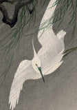 公孫 小原古邨:嵐の中を飛ぶ白鷺