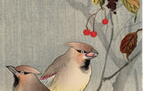 Koson 小原古邨 : Two Japanese Waxwings and Red Berries 枝に連雀 (Sold)