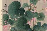 Koson 小原古邨 : Silhouetted Bird in Rain above Pink Begonia Flowers