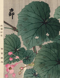 Koson 小原古邨 : Silhouetted Bird in Rain above Pink Begonia Flowers