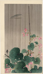 Koson 小原古邨 : ピンクのベゴニアの花の上に雨の中のシルエットの鳥