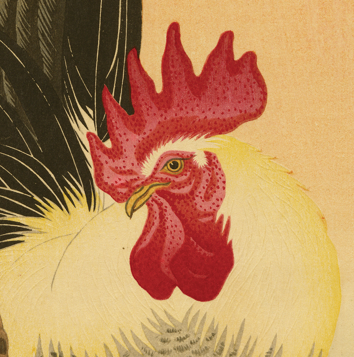 小原古邨 : バンタム鶏、雌鶏とひよこ（売り切れ） – Egenolf