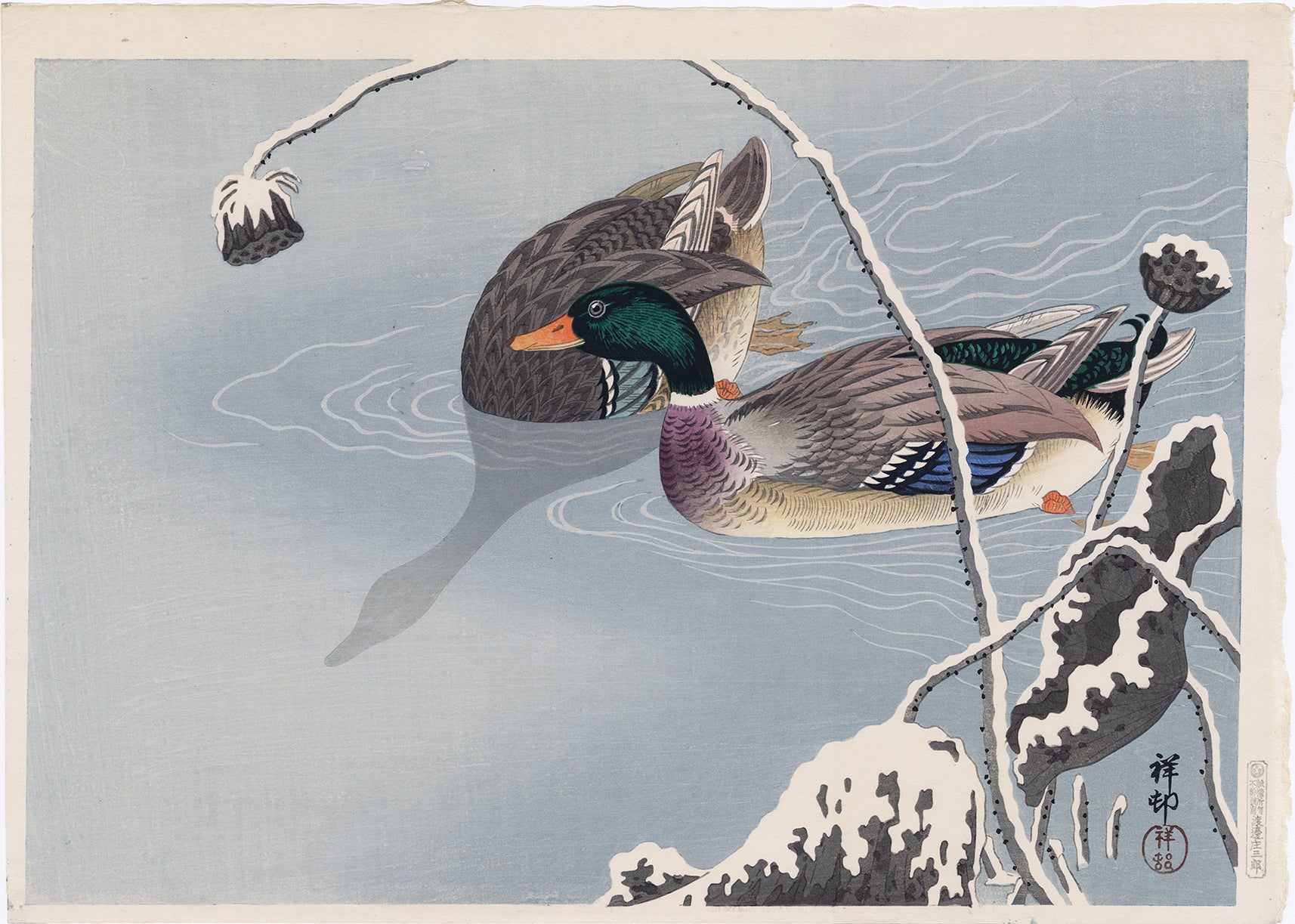 Koson 小原古邨 : 雪の下のマガモと蓮（特大初版）（売約済み