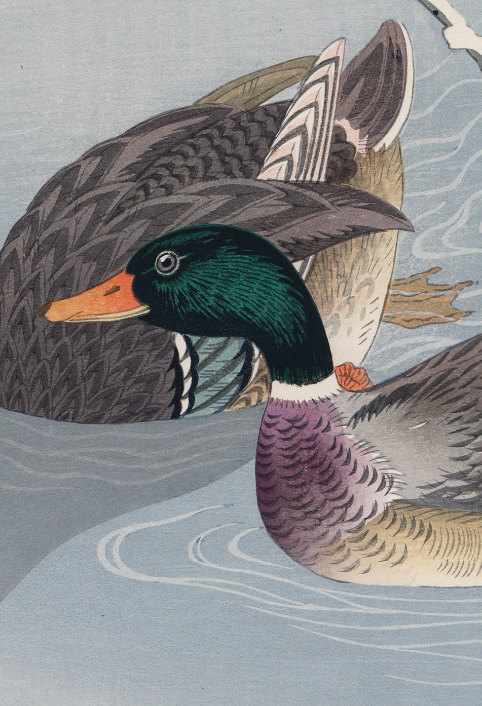 Koson 小原古邨 : 雪の下のマガモと蓮（特大初版）（売約済み