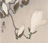 Koson 古邨: Myna Bird on a Magnolia Branch (Oversized) (Sold)