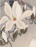 Koson 古邨: Myna Bird on a Magnolia Branch (Oversized) (Sold)