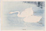 Koson 小原古邨 : 二羽の泳ぐガチョウ 鵞鳥 (初版)