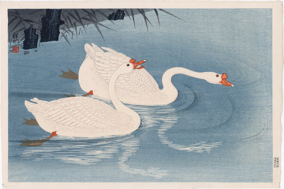 Koson 小原古邨 : Two Geese Swimming 鵞鳥 (First Edition)