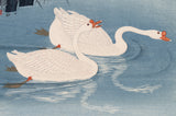 Koson 小原古邨 : 二羽の泳ぐガチョウ 鵞鳥 (初版)