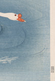 Koson 小原古邨 : 二羽の泳ぐガチョウ 鵞鳥 (初版)