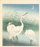 Koson 小原古邨 : Three Little Egrets in Shallow Water (Reserved)