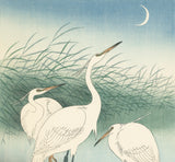 Koson 小原古邨 : Three Little Egrets in Shallow Water (Reserved)